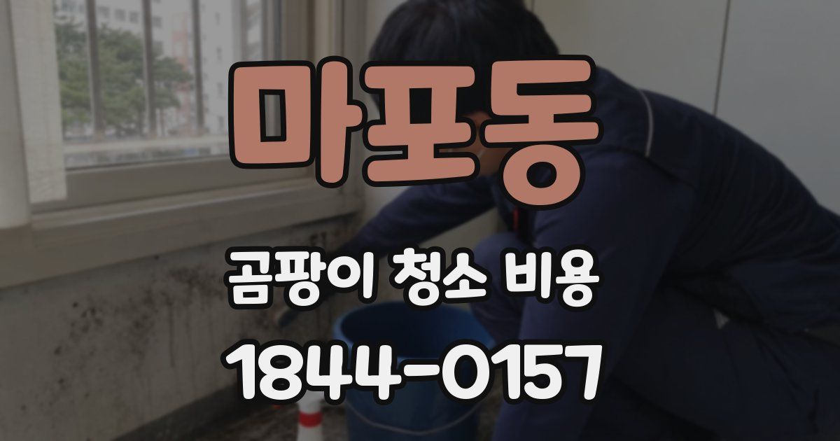 마포동 곰팡이 청소 비용