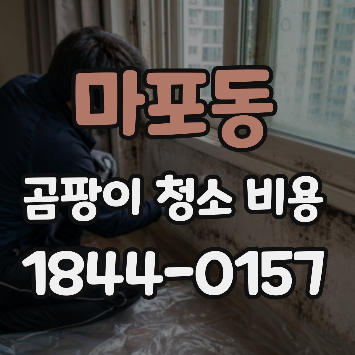 마포동 곰팡이 청소 비용