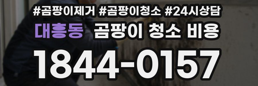대흥동 곰팡이 청소 비용