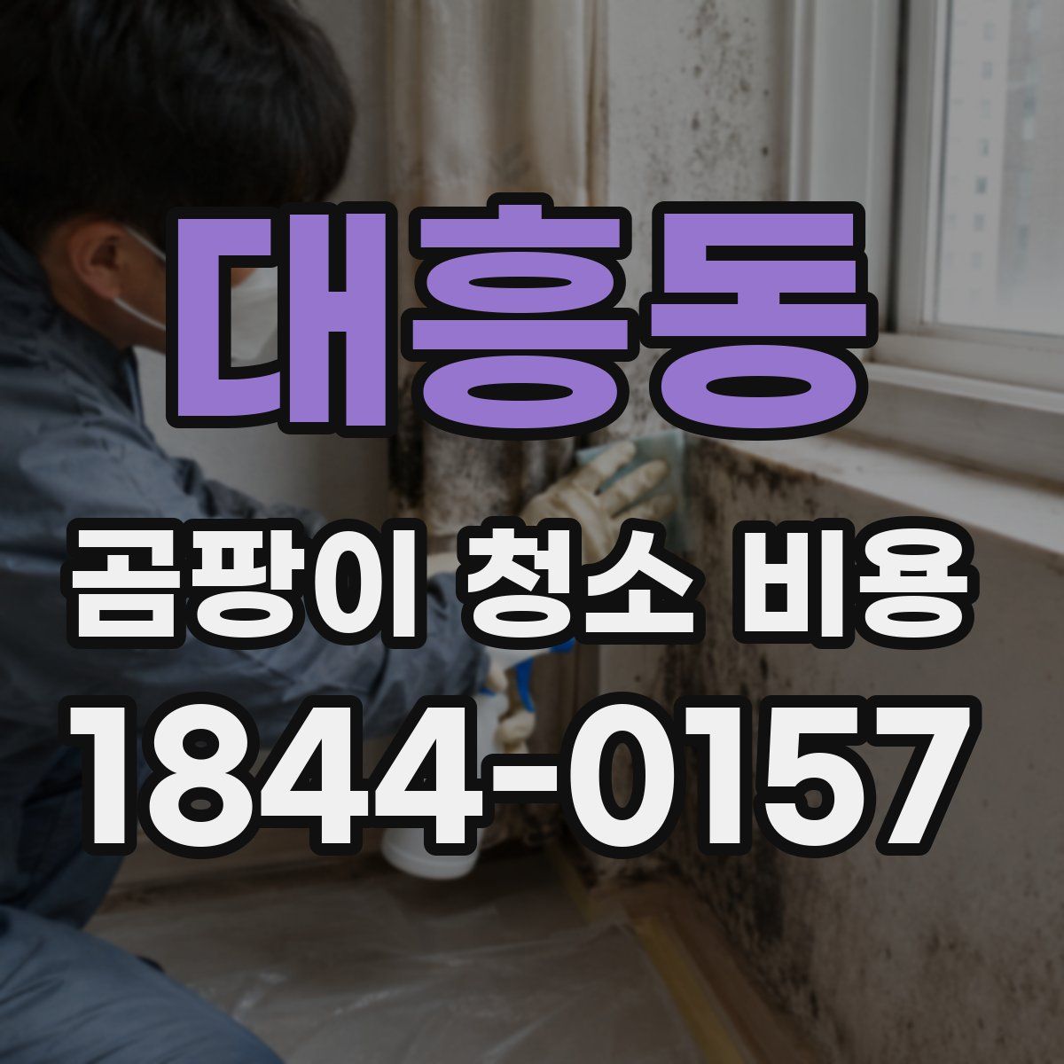 대흥동 곰팡이 청소 비용