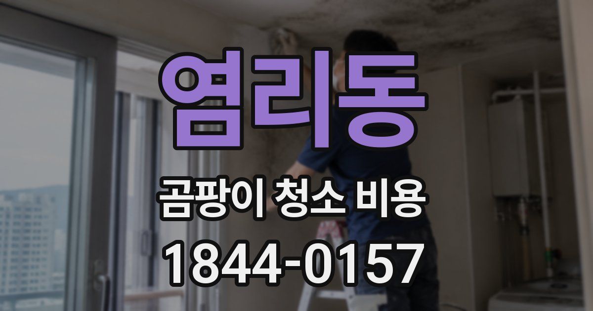 염리동 곰팡이 청소 비용