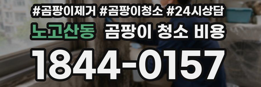 노고산동 곰팡이 청소 비용