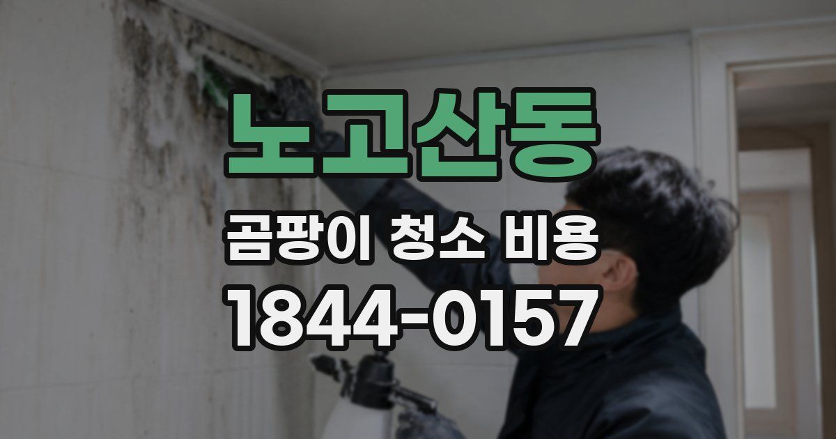 노고산동 곰팡이 청소 비용