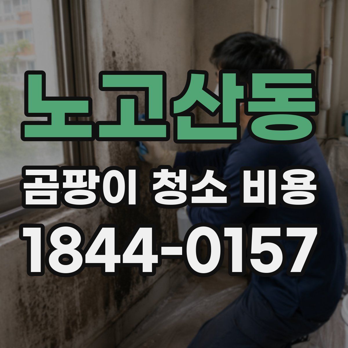 노고산동 곰팡이 청소 비용