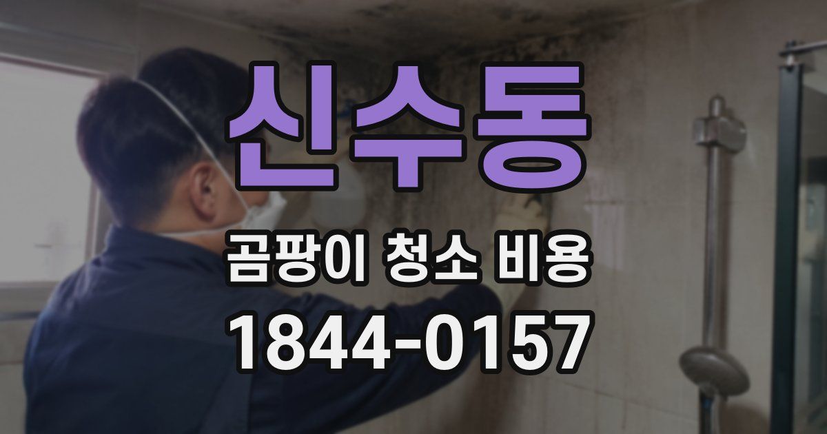 신수동 곰팡이 청소 비용