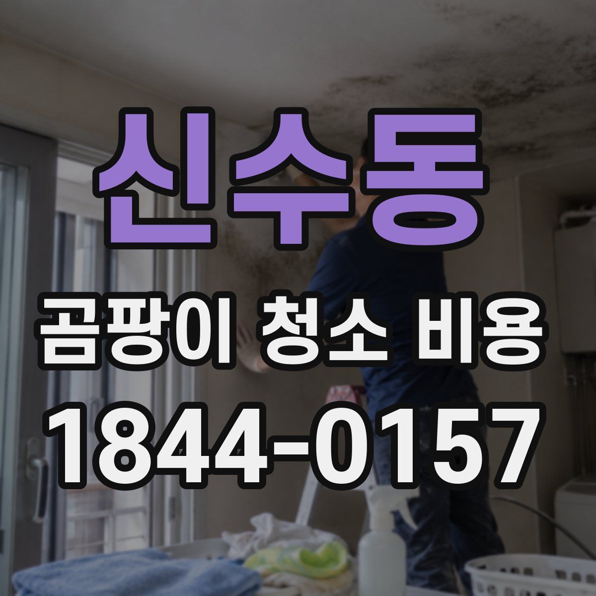 신수동 곰팡이 청소 비용