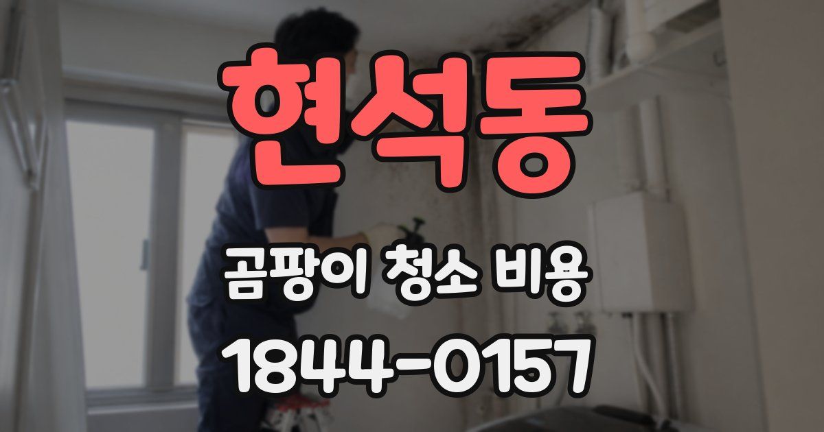 현석동 곰팡이 청소 비용