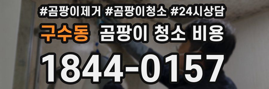 구수동 곰팡이 청소 비용