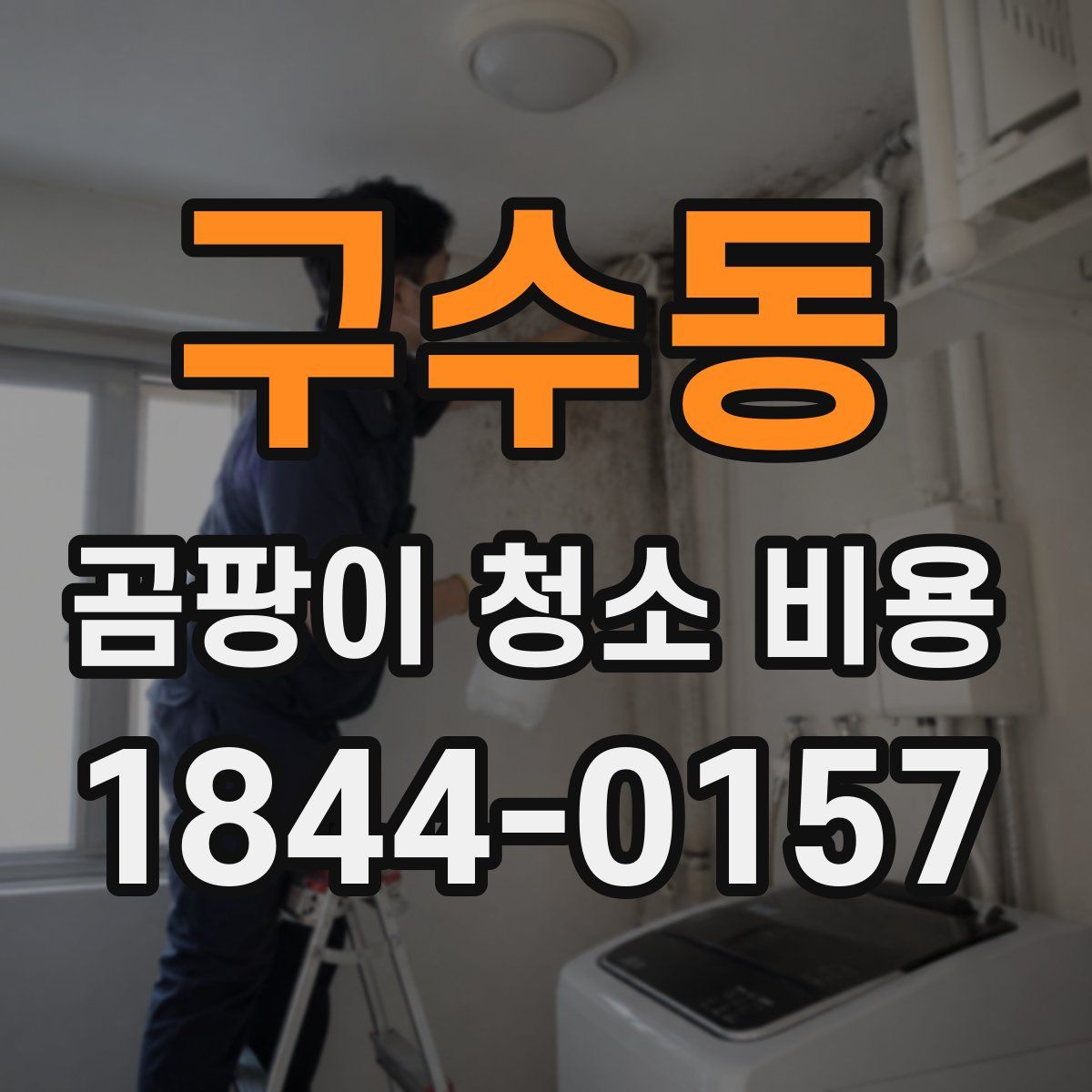 구수동 곰팡이 청소 비용