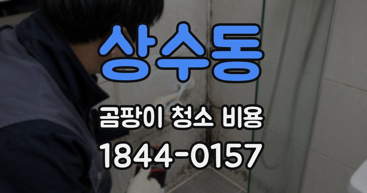 상수동 곰팡이 청소 비용