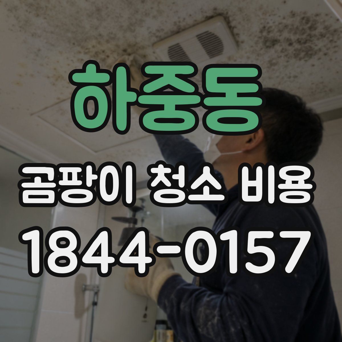 하중동 곰팡이 청소 비용