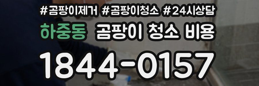 하중동 곰팡이 청소 비용