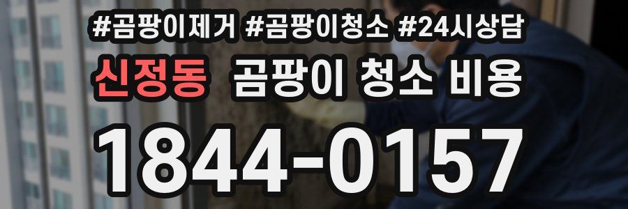 신정동 곰팡이 청소 비용