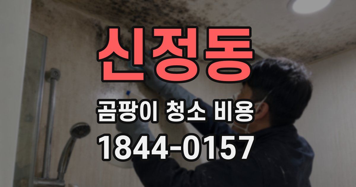 신정동 곰팡이 청소 비용