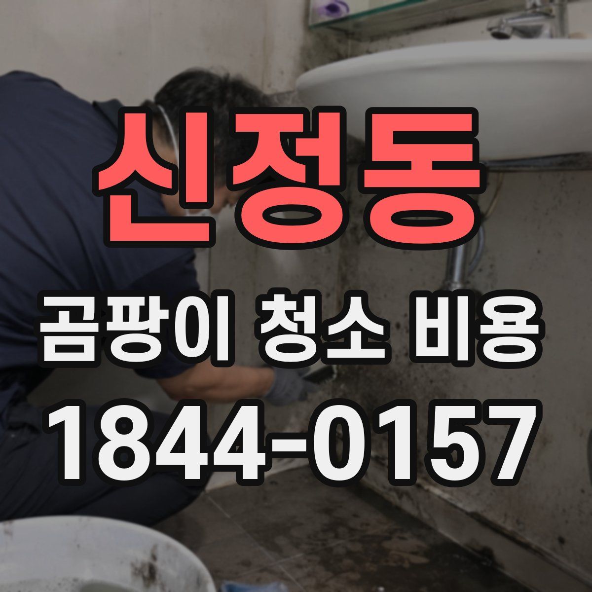 신정동 곰팡이 청소 비용
