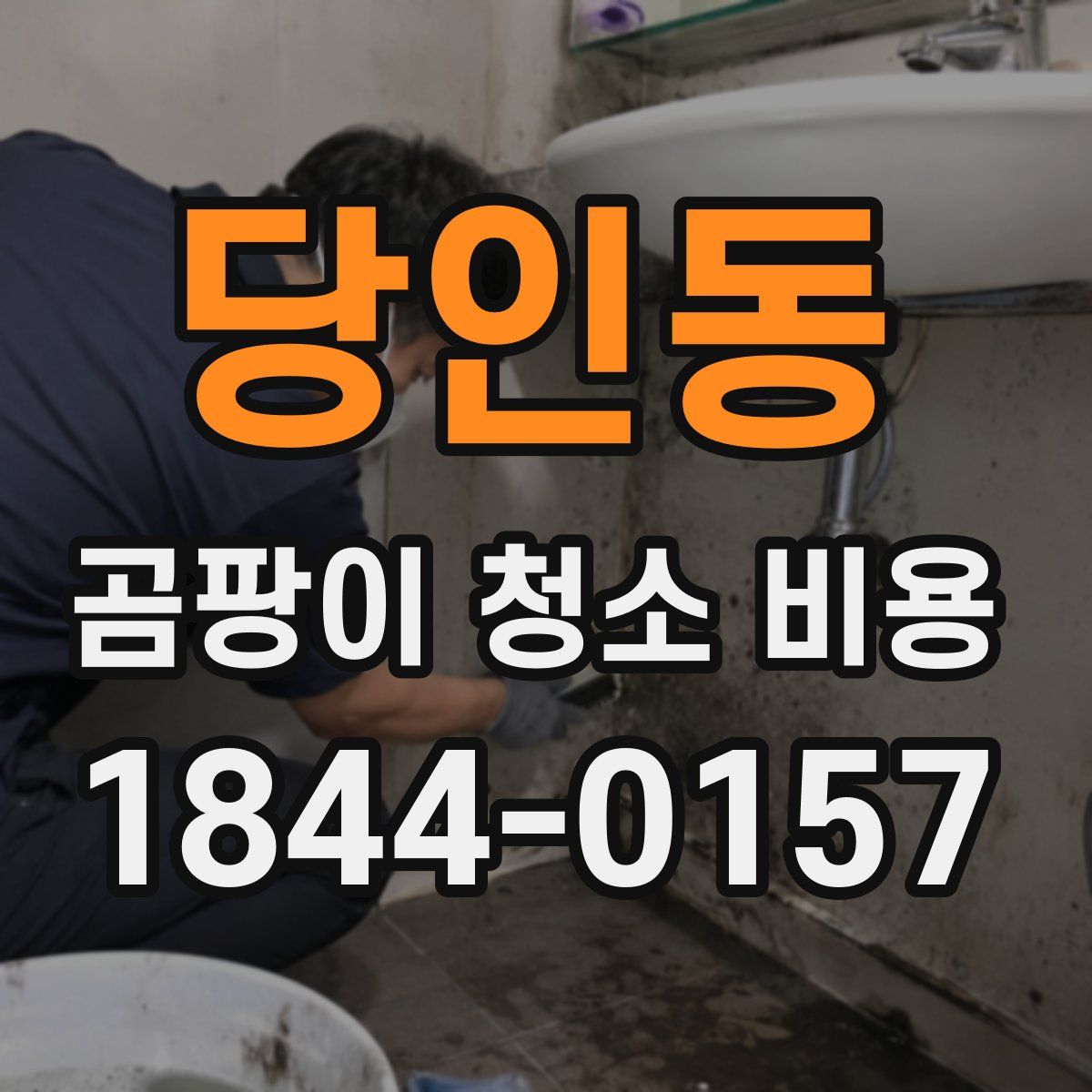 당인동 곰팡이 청소 비용