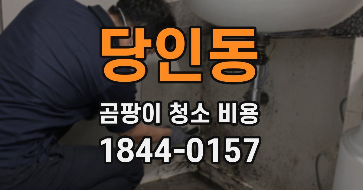 당인동 곰팡이 청소 비용
