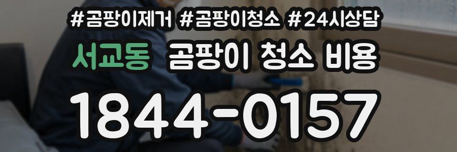 서교동 곰팡이 청소 비용