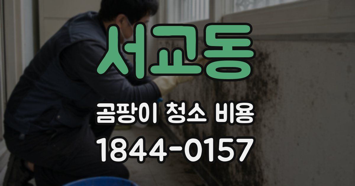 서교동 곰팡이 청소 비용
