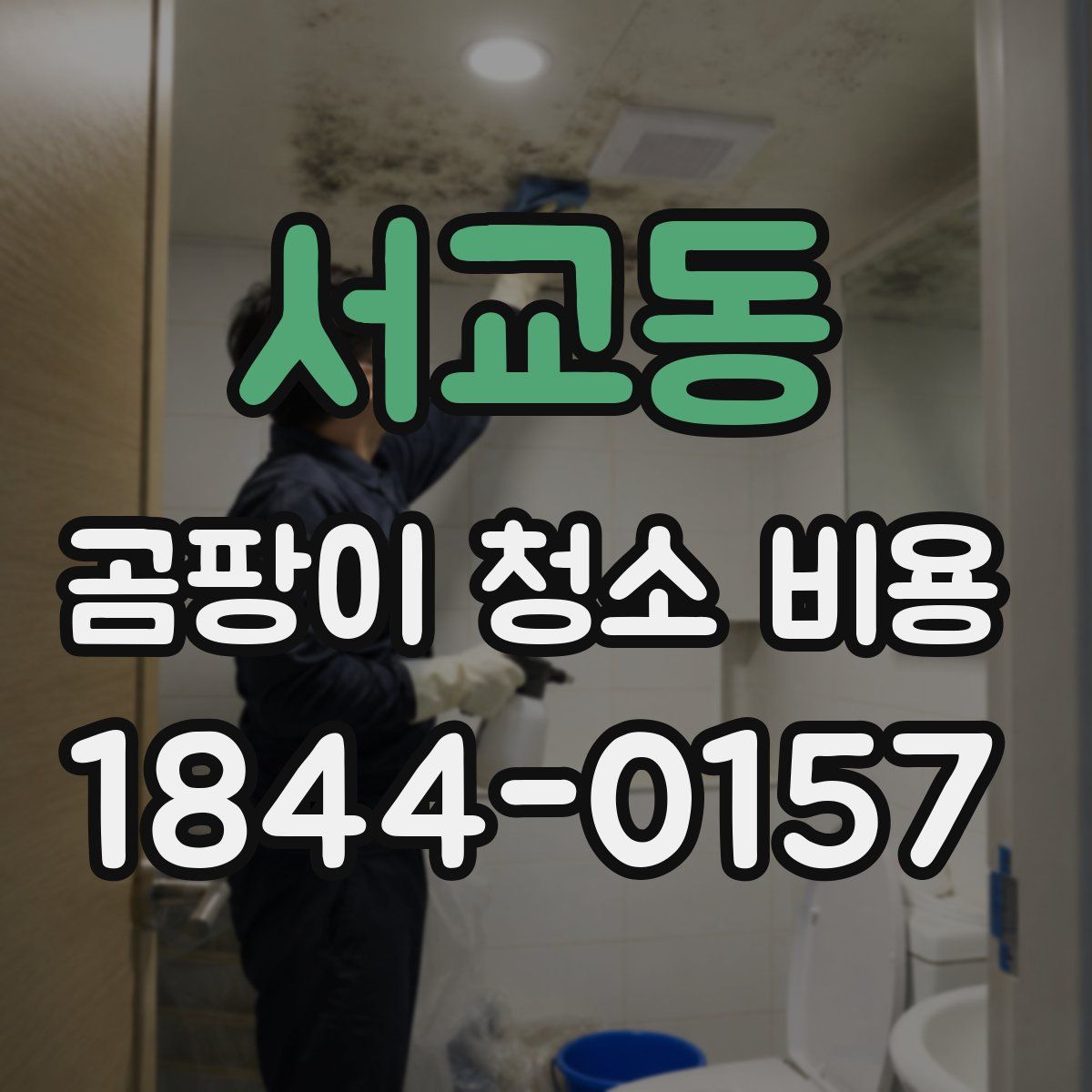 서교동 곰팡이 청소 비용