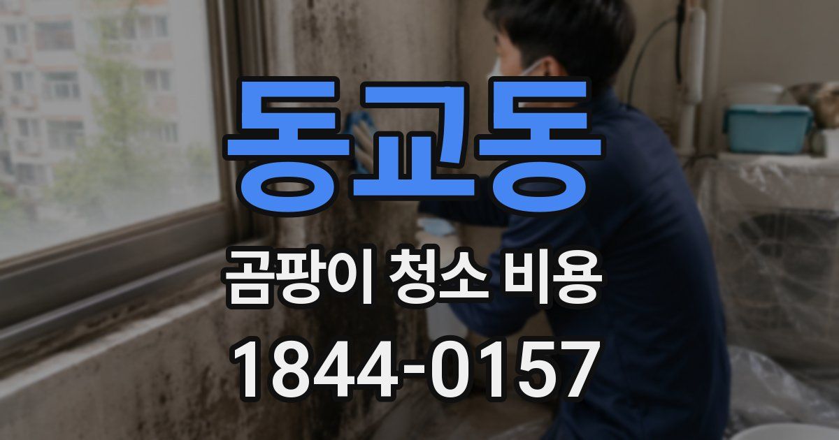 동교동 곰팡이 청소 비용