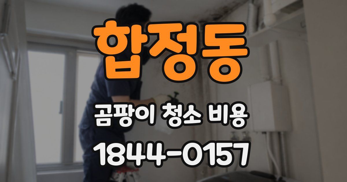 합정동 곰팡이 청소 비용