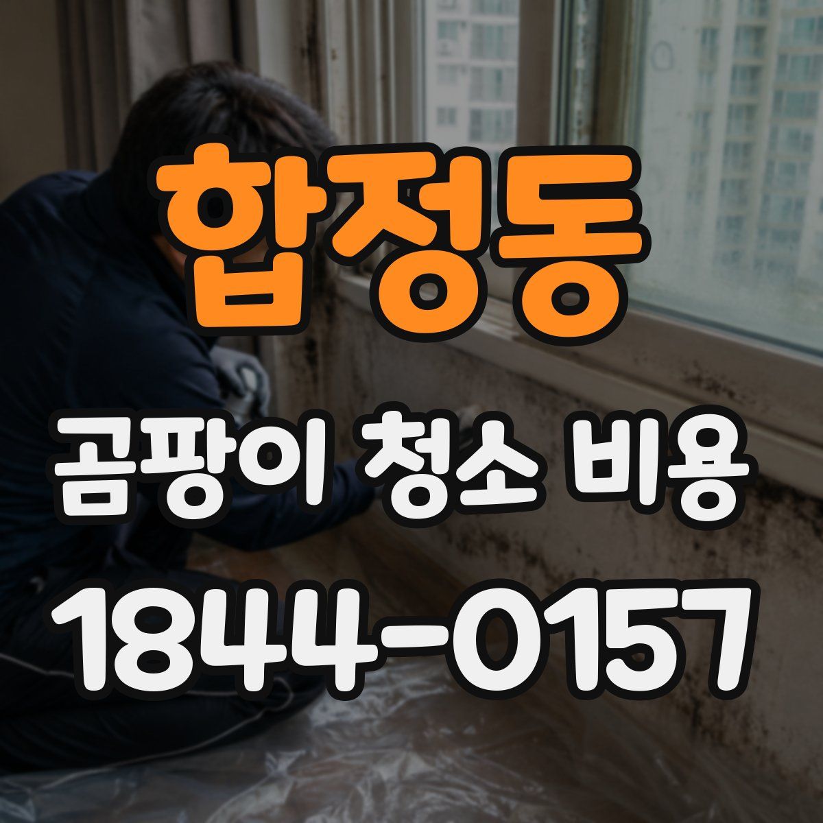 합정동 곰팡이 청소 비용