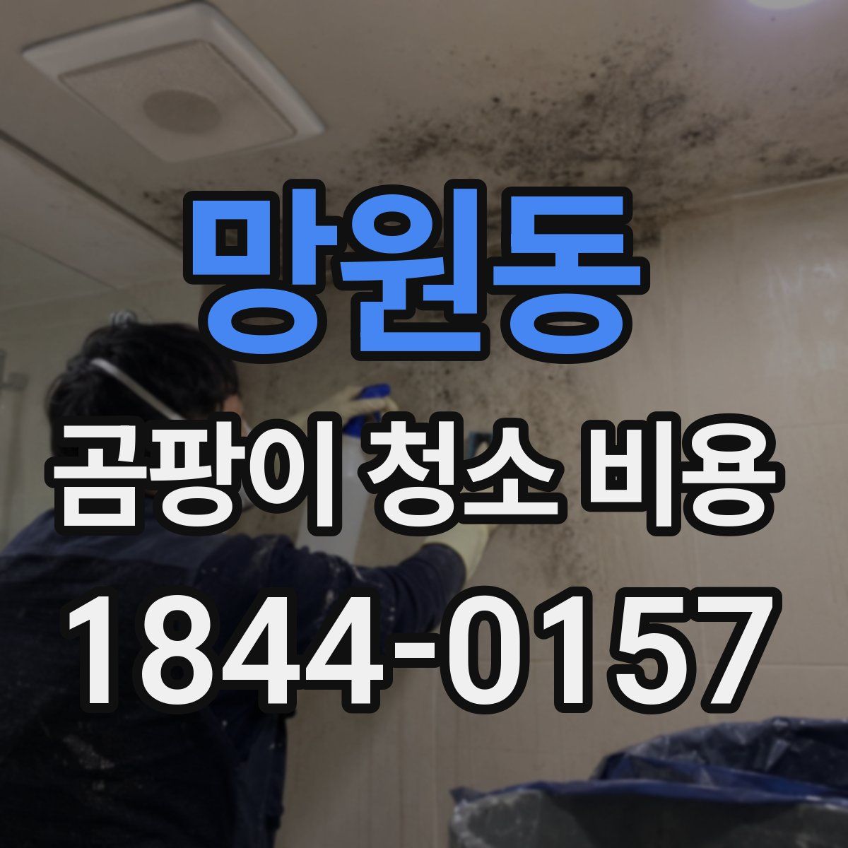 망원동 곰팡이 청소 비용