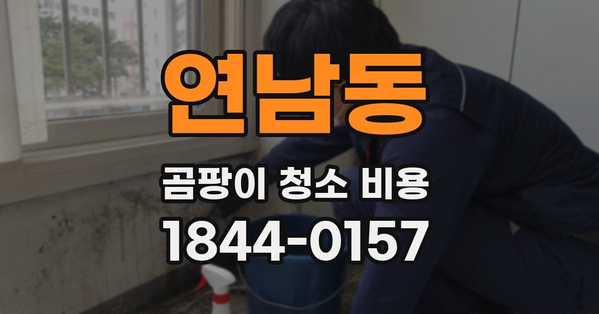 연남동 곰팡이 청소 비용