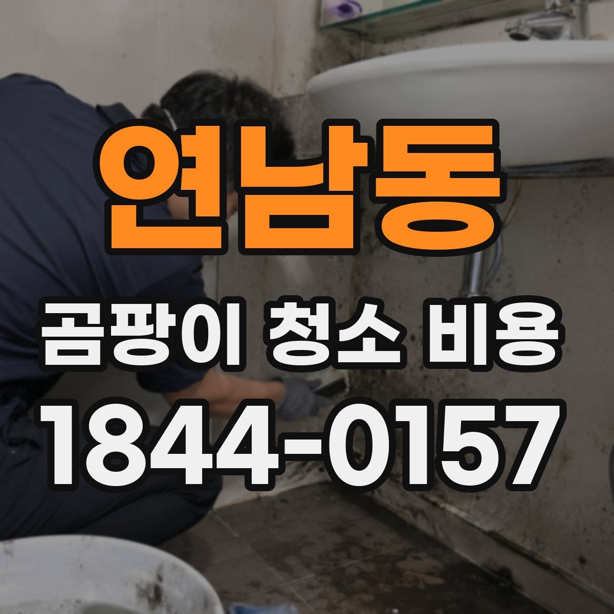 연남동 곰팡이 청소 비용