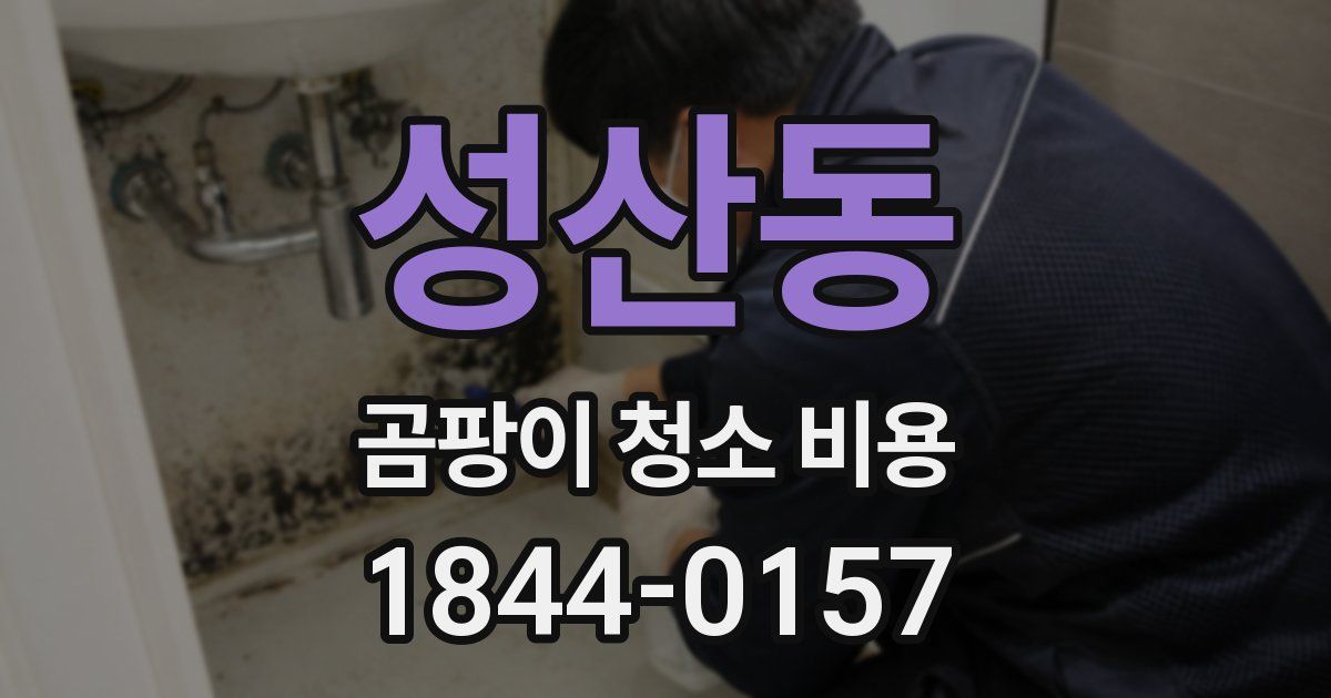성산동 곰팡이 청소 비용
