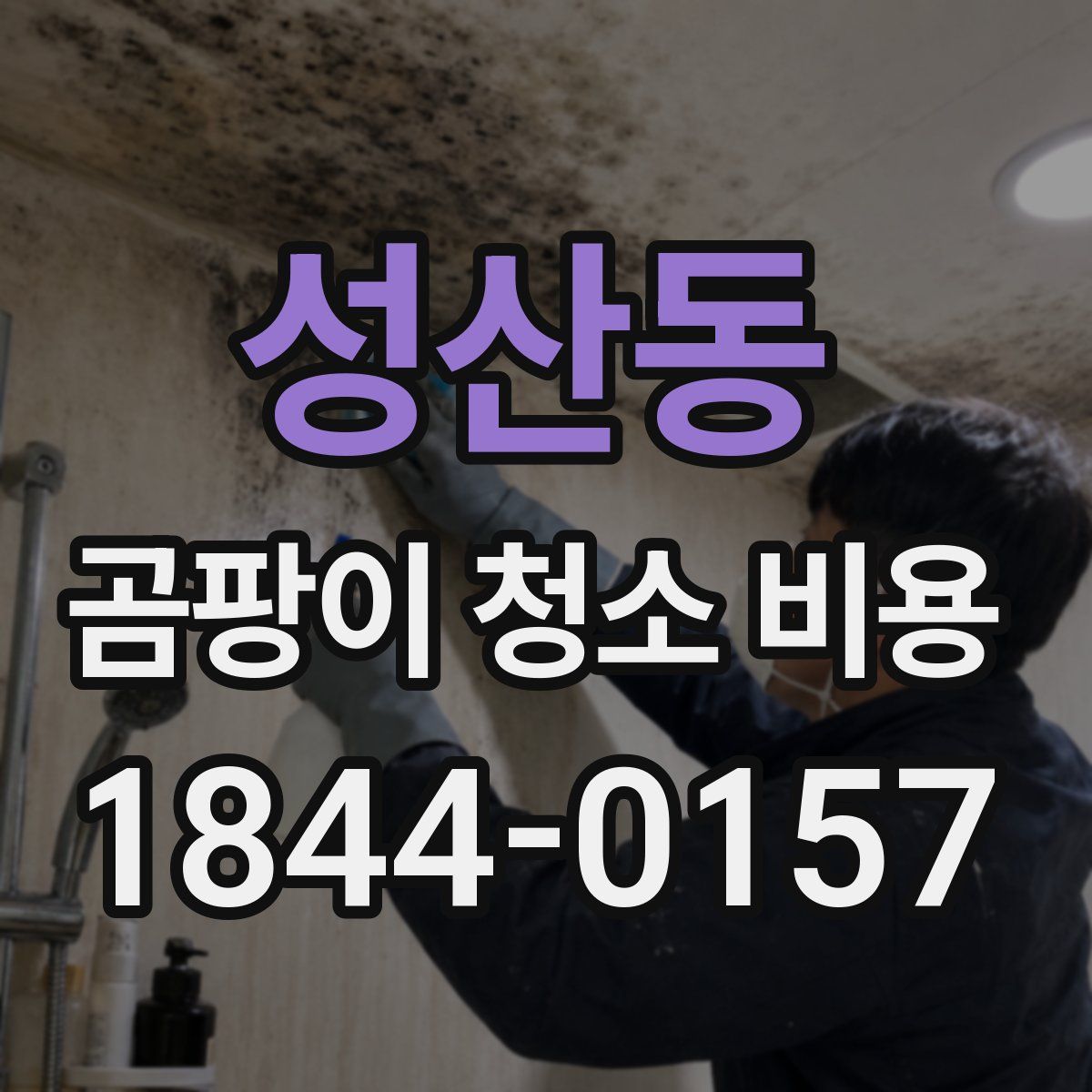 성산동 곰팡이 청소 비용
