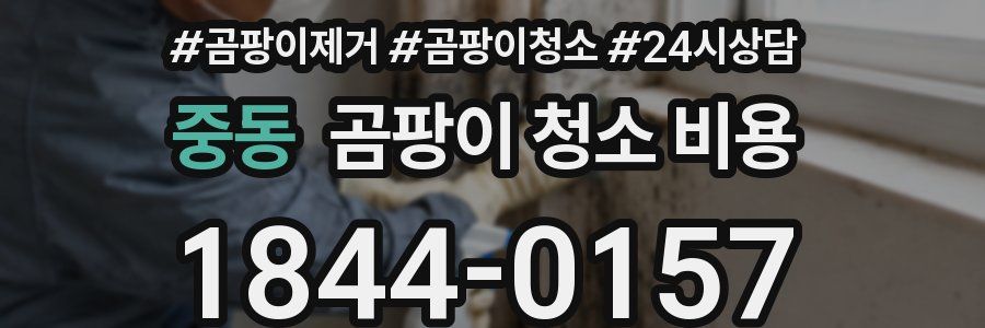 중동 곰팡이 청소 비용
