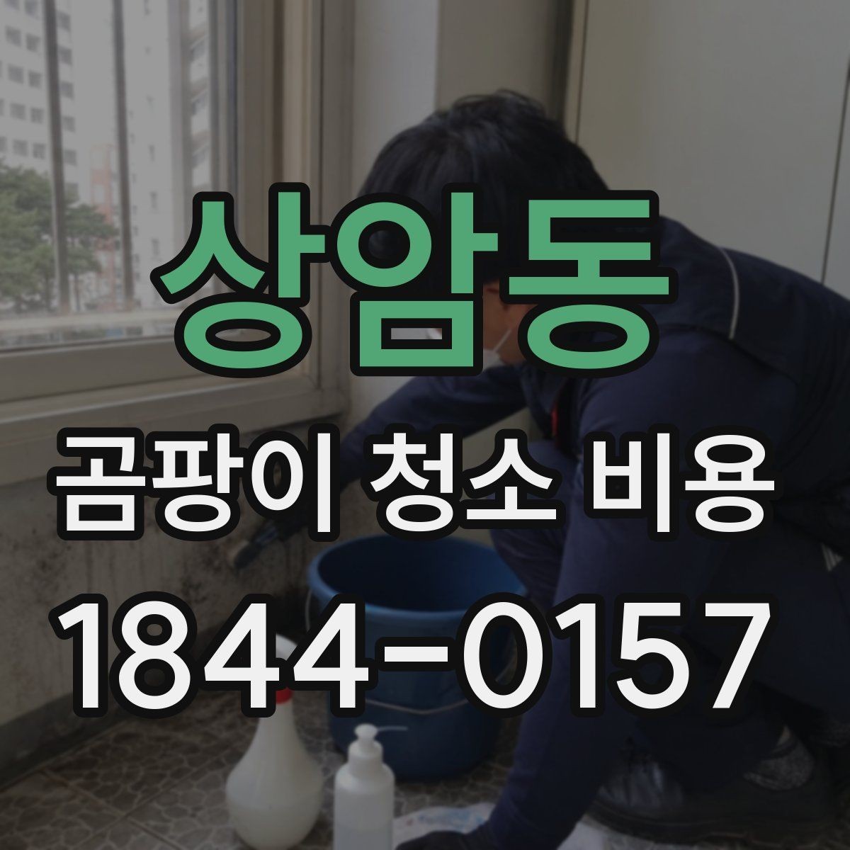 상암동 곰팡이 청소 비용 상가 휴무일에 진행하는 작업 범위