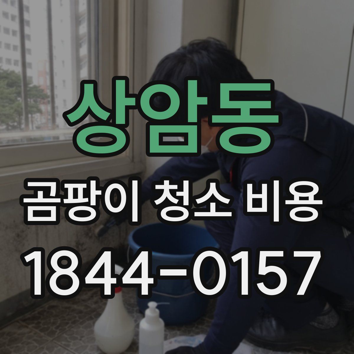 상암동 곰팡이 청소 비용