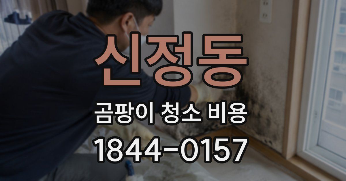 신정동 곰팡이 청소 비용