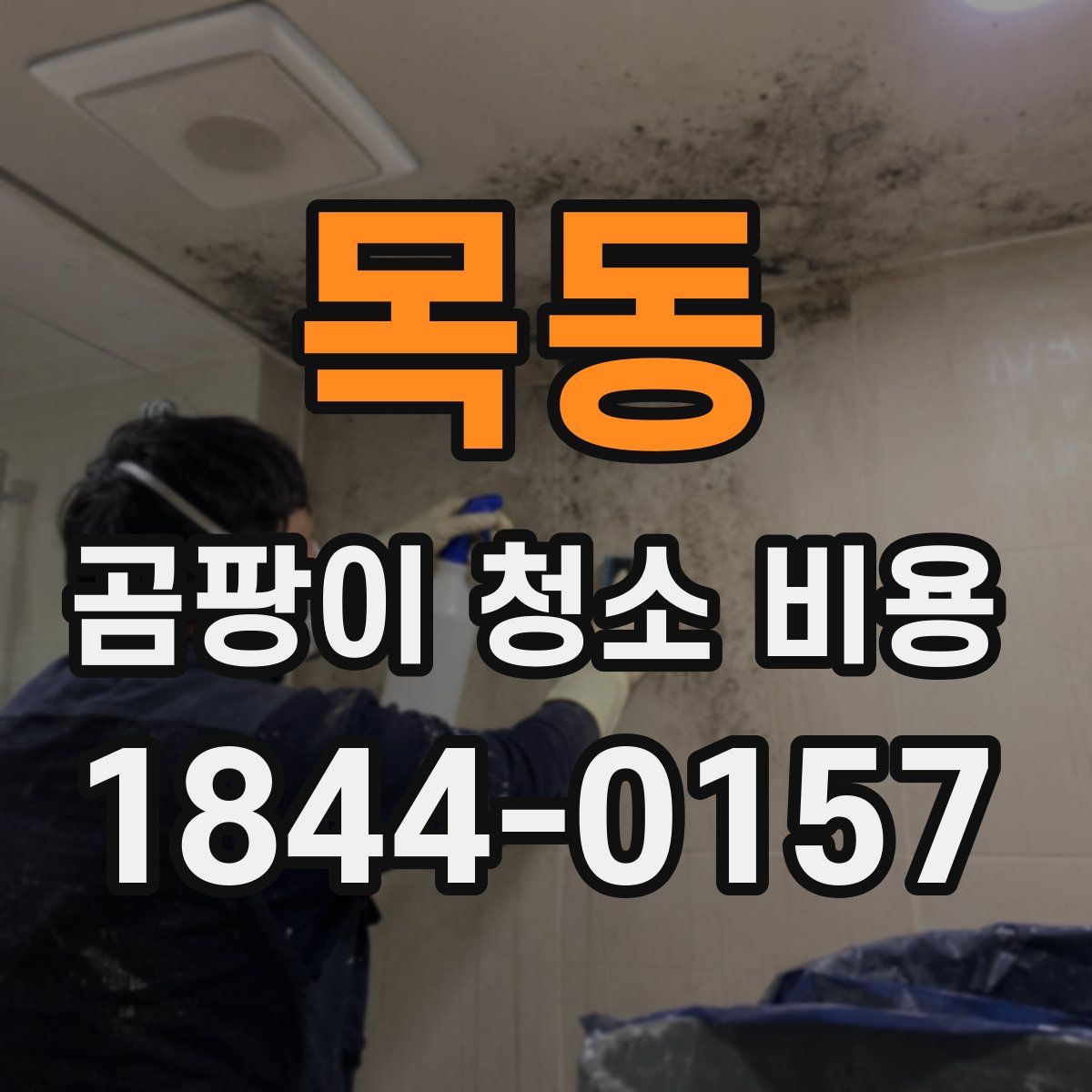 목동 곰팡이 청소 비용