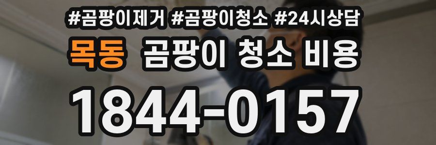 목동 곰팡이 청소 비용