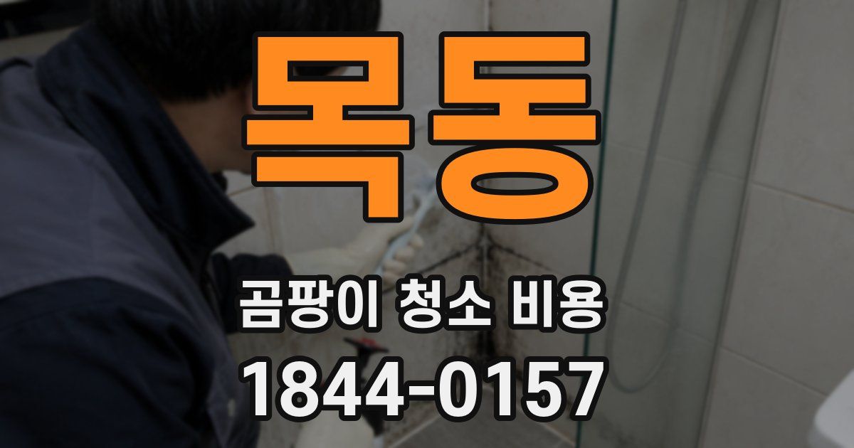 목동 곰팡이 청소 비용