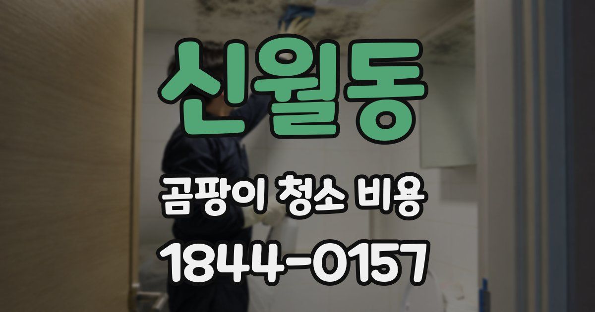 신월동 곰팡이 청소 비용