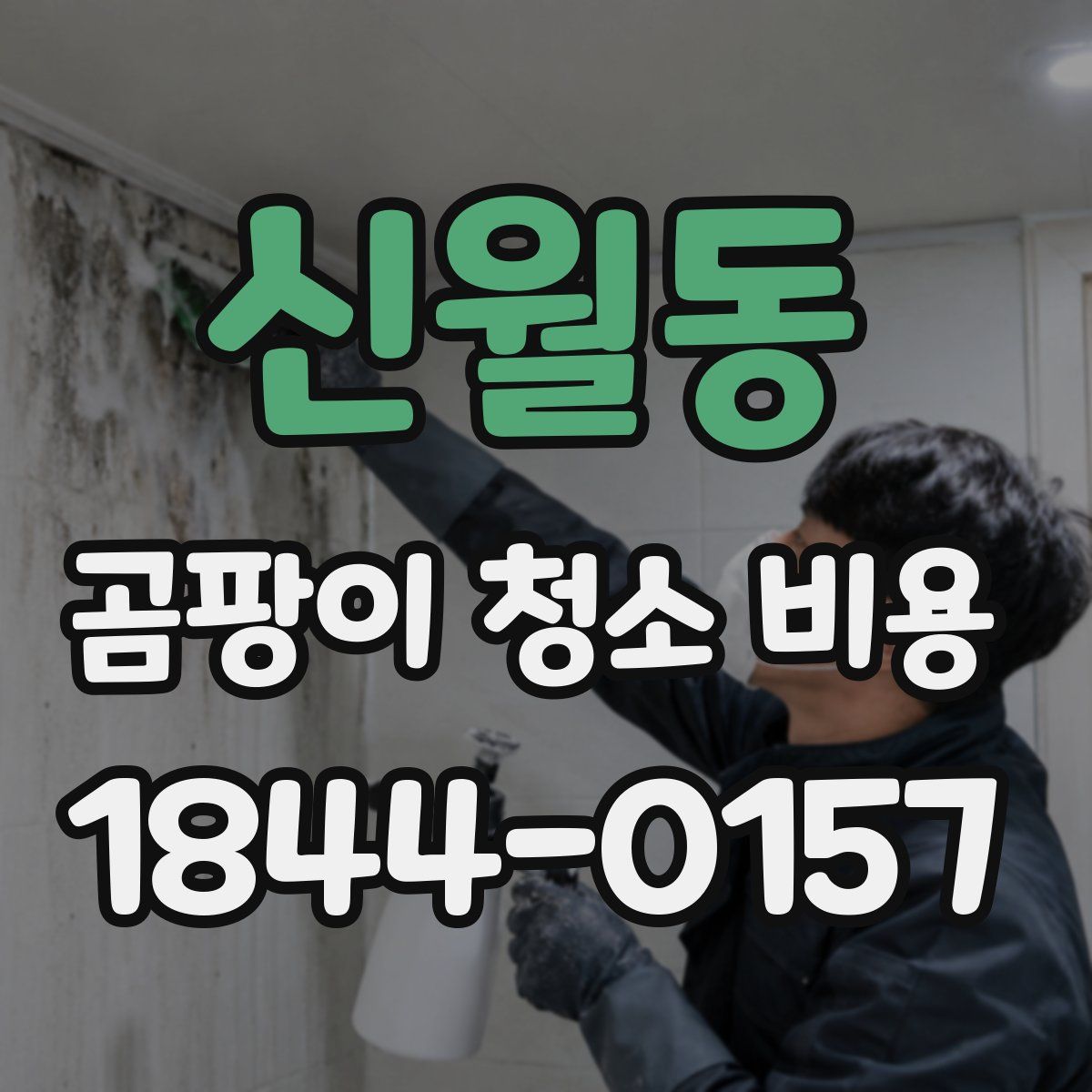 신월동 곰팡이 청소 비용