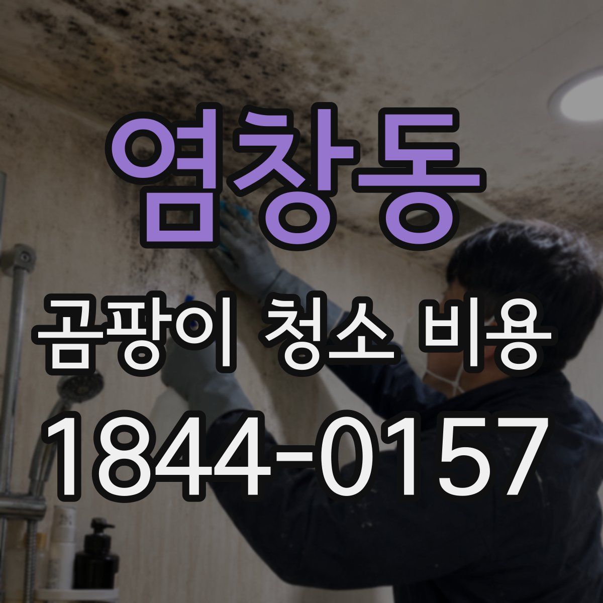 염창동 곰팡이 청소 비용
