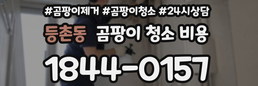 등촌동 곰팡이 청소 비용