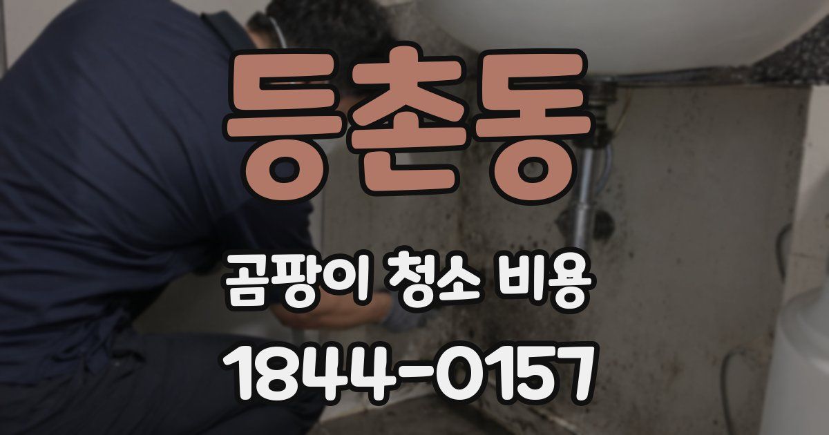 등촌동 곰팡이 청소 비용