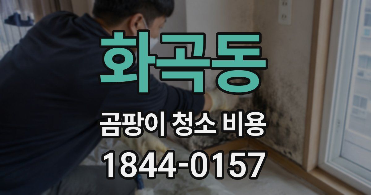 화곡동 곰팡이 청소 비용