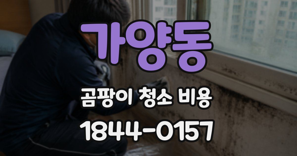 가양동 곰팡이 청소 비용