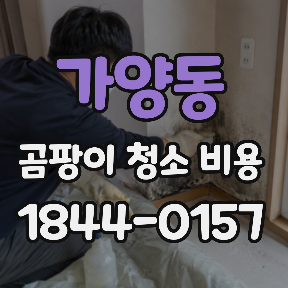 가양동 곰팡이 청소 비용