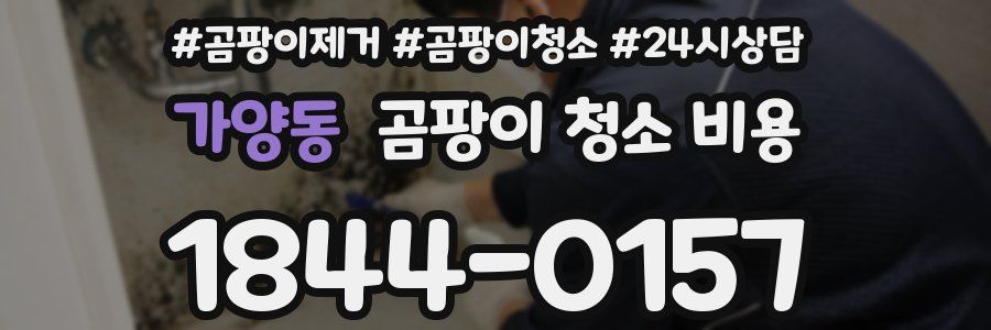 가양동 곰팡이 청소 비용