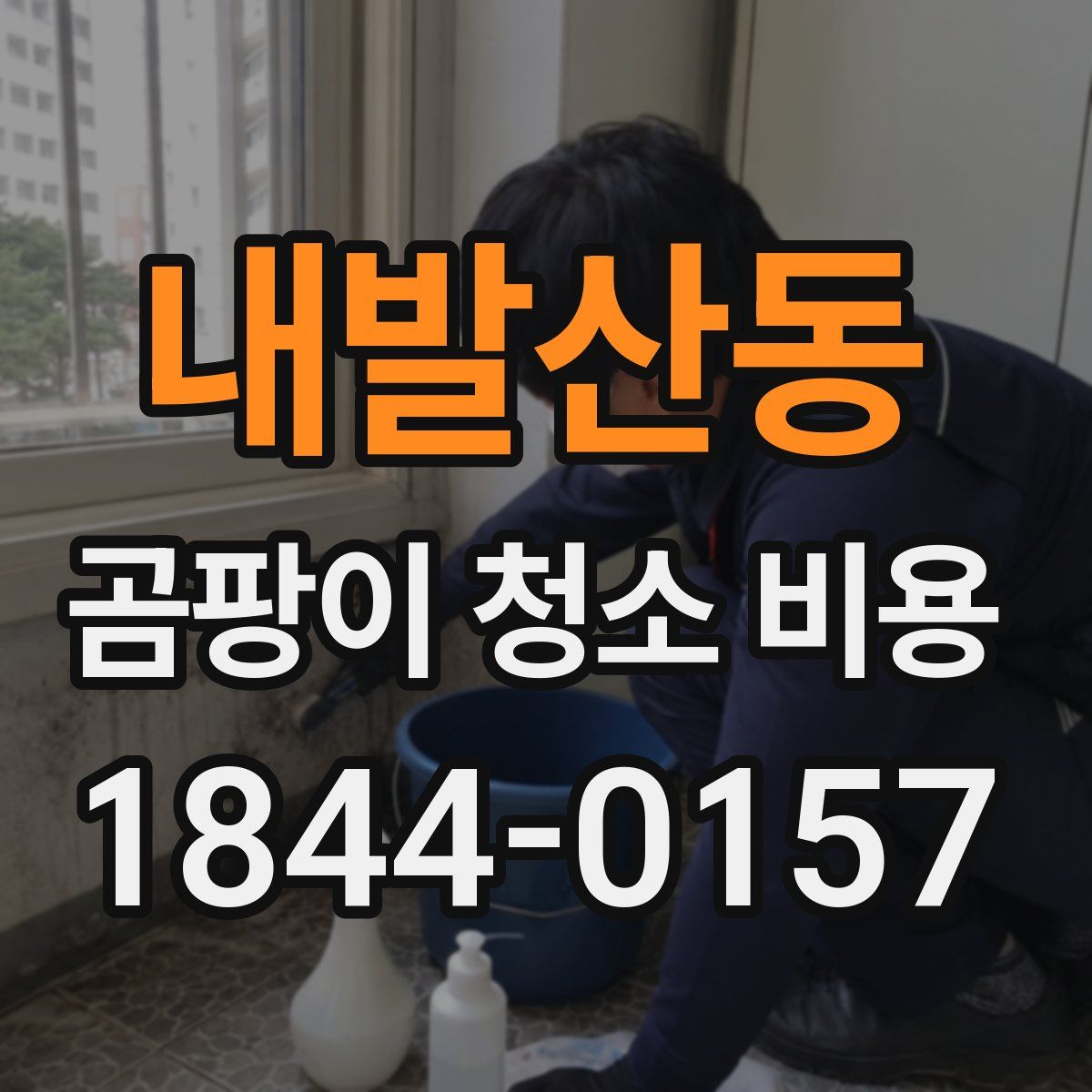 내발산동 곰팡이 청소 비용
