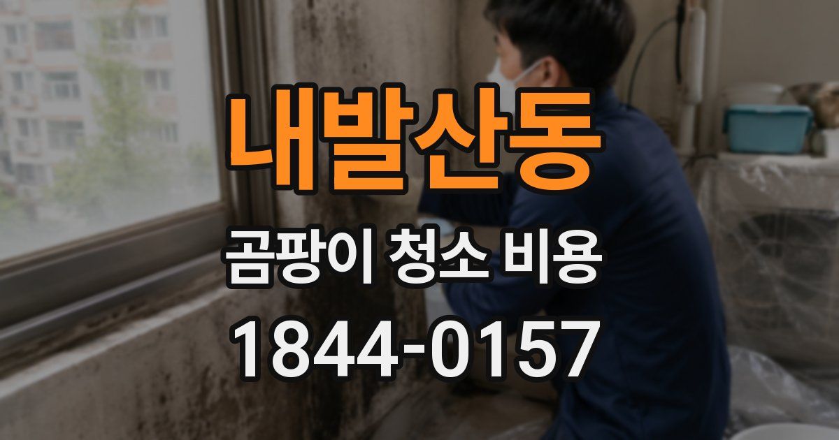 내발산동 곰팡이 청소 비용